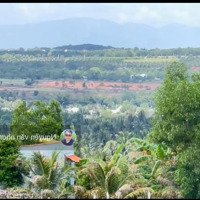 Bán Đất Cạnh Biển Tại Vị Trí Đắc Địa Bàu Me, Xã Thiện Nghiệp, Phan Thiết. 1.5 Tỷ