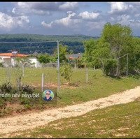 Bán Đất Cạnh Biển Tại Vị Trí Đắc Địa Bàu Me, Xã Thiện Nghiệp, Phan Thiết. 1.5 Tỷ