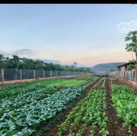 Bán Gấp Lô Đất Vuông Vắn, Bằng Phẳng, Trong Khu Dân Cư Yên Tĩnh, Thích Hợp Xây Nghỉ Dưỡng