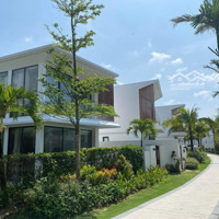 Dự Án Cầu Nối 29-3 Và Bùi Tá Hán Đã Triển Khai_Bán Nhanh Đất Biệt Thự Bùi Tá Hán Với Giá Siêu Rẻ