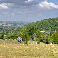 Cần Bán 2000M2 Đất Vuông Vắn Giá Bán 3 Tỷ