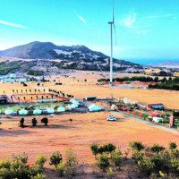 Bán 2000M2 Kế Bên Kdl Mian Farm View Bàu Trắng Hòa Thắng Giá Tốt 850 Triệu/Sào - Lh Zalo 034.430.6879