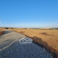 Bán 2000M2 Kế Bên Kdl Mian Farm View Bàu Trắng Hòa Thắng Giá Tốt 850 Triệu/Sào - Lh Zalo 034.430.6879