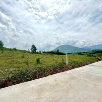 Bán đất vườn Diên Xuân giá rẻ cách khu dân cư chỉ 300m