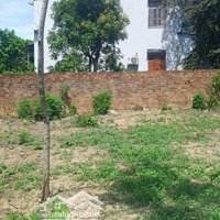 Bán Đất Đường Bê Tông Rộng 5M, Diện Tích 135M2, Mặt Tiền 10M, Giá Tốt 870 Trđ,