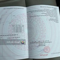 Bán Đất Xã Thiện Nghiệp Giá Cực Tốt Chỉ Từ 800 Triệu/1000M2 Có Thể Mua Lẻ Từng Sổ