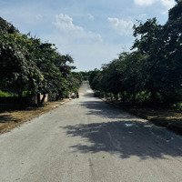 Bán Đất Tái Định Cư Vai Réo - Vị Trí Vàng Tại Hòa Lạc