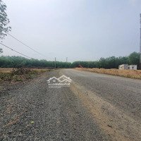Bán Gấp Đất Thổ Cư 1219M2 Tại Xã Thuận Lợi, Đồng Phú, Bình Phước Giá Cực Chất 380 Triệu