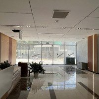 Bán Gấp Căn Hộ 3 Phòng Ngủđẹp Dhomme Hồng Bàng Đã Thanh Toán 95% , Nhận Nhà Ngay. Giá Tốt Nhất Thị Trường