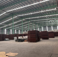 Cho Thuê Kho Xưởng Trong Khu Cn Tân Đức , Tân Đô , Hải Sơn , Long An, Pccc Tự Động