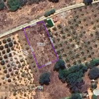 Bán Đất Tại Thiện Nghiệp, 2 Tỷ, 1000 M2, Mặt Tiền 22.63M, Nhiều Tiện Ích