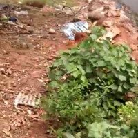 Bán Đất 6.328 M2, Mặt Tiền Đường Phước Bình, Xã Phước Bình, Long Thành, Đồng Nai
