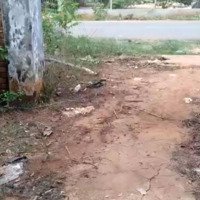 Bán Đất 6.328 M2, Mặt Tiền Đường Phước Bình, Xã Phước Bình, Long Thành, Đồng Nai