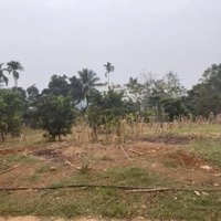Chính Chủ Bán Đất Xã Minh Sơn Ngọc Lặc