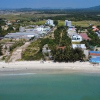 Chính Chủ Bán 3 Lô Đất Biển Dốc Lết - Cách Bãi Tắm Mỹ Á Chỉ Vài Bước Chân!