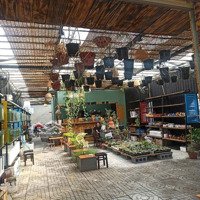 Bán Đất Tại Võ Văn Hát, 8,2 Tỷ, 139,8 M2, Giá Cực Chất