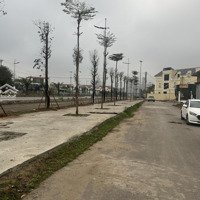 Chính Chủ Gửi Bán Lô Đất Dịch Vụ View Hồ Điều Hòa, Công Viên Giá Siêu Hấp Dẫn