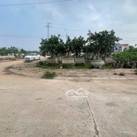 Chính Chủ Gửi Bán Lk 3 Diện Tích 107 M2 Đất Đấu Giá Hoàng Trạch Mễ Sở Văn Giang Hưng Yên