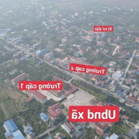 Bán Đất , An Lão, Hải Phòng, Giá Siêu Hời, 700 Triệu, 61.3M2 Cách Uỷ Ban Xã Trường Học 300 Mét