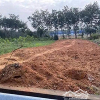 Mặt Tiền Vĩnh Tân 08- 14.500M2 Có 12.500M2 Skc Hồ Sơ Giấy Tờ Đầy Đủ Sẵn Dựng Xưởng-Giá 3, 5 Triệu/M2