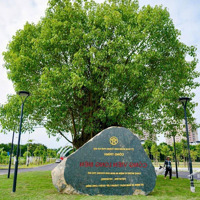 Bán Đất Ngọc Thuỵ Xây Homestay Nhà Vườn 183M Mt:6,5M Giá 110 Triệu/M2