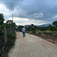 Chính Chủ Cần Bán Gấp 3 Lô Đất Để Trả Nợ Tại Lâm Hà, Lâm Đồng.