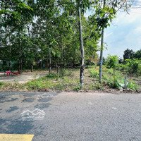 Bán Đất Đối Diện Ubnd Tân Hiệp, 175M2 Có Thổ Cư, Sổ Sẵn Giá Rẻ Hơn Xung Quanh Vài Chục Triệu