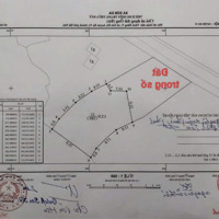 Giá Chạm Đáy Cho Các Nhà Đầu Tư, Chỉ 216 Triệu/M Mặt Đường Tl413, Trung Tâm Xã Mới Tại Sơn Đà, Ba Vì,Hn