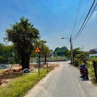 Vị Trí Gần Trường Gần Chợ Đường Dx19 Phú Mỹ, Buôn Bán Kinh Doanh, 6X23M Thổ Cư 60M2 Giá Tốt