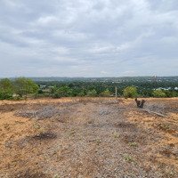 Bán 9334M2 Thiện Nghiệp Gần Biển Và Sân Bay Phan Thiết Giá Ngộp 480 Triệu/Sào - Lh Zalo 034.430.6879