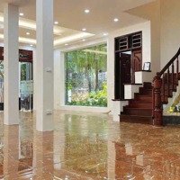 Cho Thuê Nhà Mặt Phố Khu Vực Láng Hạ Diện Tích Sàn 400M2 Mặt Tiền 5M Giá Thuê Rẻ Nhất Phố