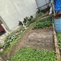 Đất Đẹp Như Tranh, Giá Không Thể Rẻ Hơn 78M2, Viên Nội, Đông Anh Sốc 4,2 Tỷ