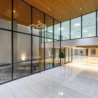 Hàng Hiếm Sân Bay Mặt Tiền Cộng Hòa, Q. Tân Bình - Dt: 8X30M - 6 Tầng - Hđt: 350 Triệu - Giá: 70 Tỷ