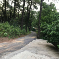 Bán Đất 2577M2( 1200Tc) Minh Thành - Quảng Yên.gần Đường 18A. Ngõ Ô Tô, Có Nhà Gỗ Trên Đất.