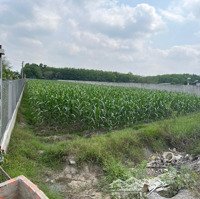 Bán Gấp Lô Đất Ngang 20M -Diện Tích4,150M2 - Gần Đường Mòn Hồ Chí Minh - Đức Hòa - Long An - Giá Bán 4 Tỷ