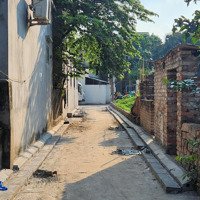 Chỉ 2.X Tỷ Đường Trải Nhựa Ô Tô Vào Đất Nam Hồng, Đông Anh