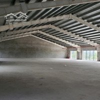 Cho Thuê Nhà Xưởng, Diện Tích Có Thể Tối Ưu Theo Nhu Cầu Sử Dụng.