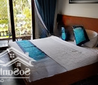 Bán Villa Ttrung Tâm Phố Cổ Hội An, View Lúa Cực Đẹp