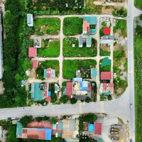 Lô Góc 142M2 Đấu Giá Đại Cường Kinh Doanh Bất Chấp