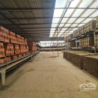 Nhà Máy Gạch 1,1 Hecta Trong Cụm Làng Gạch Long Thành. Có Tổng 20 Cửa, Đang Có Lượng Khách Ổn Định