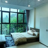 Hàng Hiếm Tại Nguyễn Văn Lượng, 5,6 Triệu, 30 M2, 1 Phòng Ngủ+ 1 Vệ Sinh Gò Vấp, Hcm
