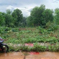 Đất Đẹp Giá Tốt - Cần Bán Lô Đất Tại Xã Nghĩa Trung, Bù Đăng - Tỉnh Bình Phước