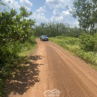 Bán Đất Tại Lộc Thành, Lộc Ninh, Bình Phước, 2,3 Tỷ, 10000M2