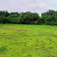 Bán 3500m2 đất thổ cư Long Đức gần SÂN BAY Long Thành chỉ 6,5 tỷ