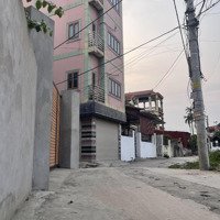 Cc Bán Lô Đất Đẹp 56,9 Tt9 Tt Quang Minhmặt Tiền8,09 Qh Cực Đẹp Khu Vực Tiềm. Năng Nhiều Dự Án