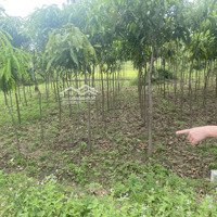 Bán Đất Nghi Ân, Vinh, Nghệ An Giá Chỉ 25 Triệu / M2, 100M2, Pháp Lý Đầy Đủ Đất Nền Nghi Ân, Vinh