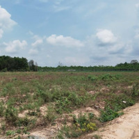 Bán 2 Sào Đất Gần Cầu Cây Ổi Xã Hòa Thạnh Châu Thành, Tây Ninh. Liên Hệ: 0919.093.496