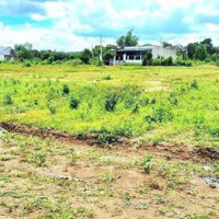 Ngộp Sang Hơn 1100M2 Đất Vườn Bao Suối -Cách Trục Đường Dh Chỉ 100M, Dân Cư Hiện Hữu Giá Chỉ: 530 Triệu