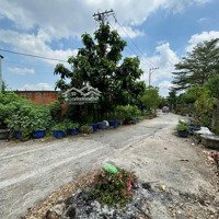 Bán Đất Tại Mỹ Phú - Thủ Thừa - Long An
