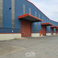 Cho Thuê Kho Xưởng Chính Chủ Mới Xây Tại Cụm Kcn Kiến Thành , Long An, Pccc Tự Động